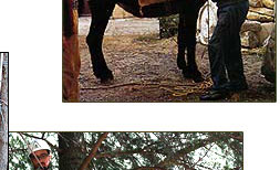 Parco Avventura Madonie